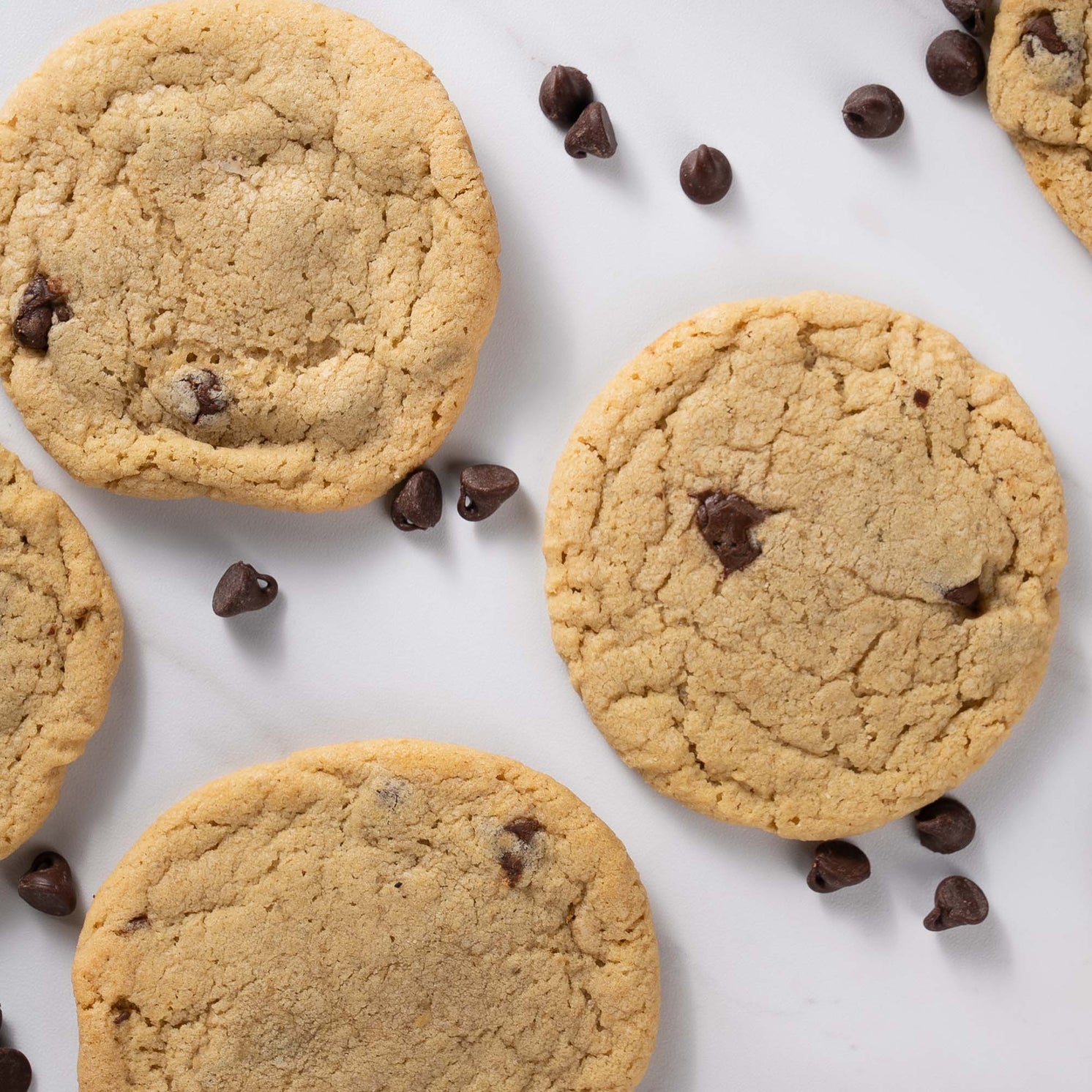 Chocolate Chip Cookie (Half-Dozen)